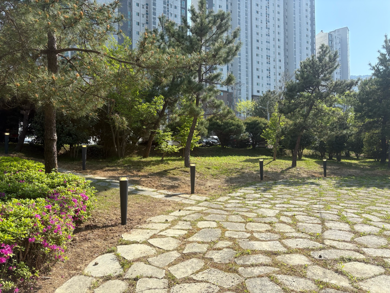 IMG_1429.png