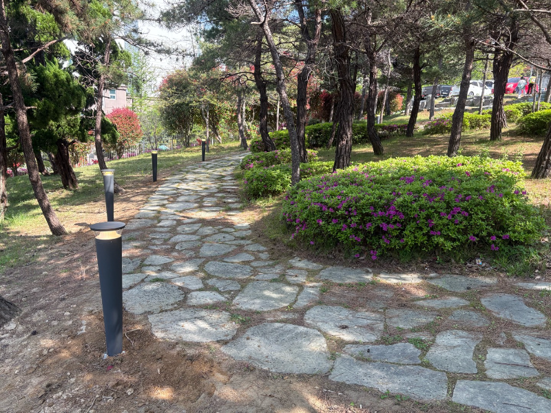 IMG_1427.png